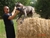 ipo3 FURFANTE RIPRODUTTORE SELEZIONATO ENCI - Triola Cane Corso