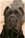  multi Ch. Bazo - Triola Cane Corso