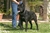 Ch. Giotto del Rossomalpelo - Triola Cane Corso