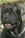 Ch. Arwen  - Triola Cane Corso