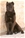  multi Ch. Bazo - Triola Cane Corso