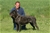 Belthil 2 detta Dharma - Triola Cane Corso