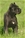 Ch. Ripr. Eowin - Triola Cane Corso