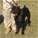 Multi Ch. Marneo - Triola Cane Corso