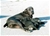 Lilla - Triola Cane Corso