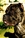 Multi Ch. Nestore - Triola Cane Corso