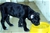 Foto - Triola cane corso