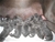 Foto - Triola cane corso