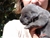 Foto - Triola cane corso