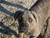 Foto - Triola cane corso