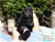 Foto - Triola cane corso