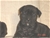 Foto - Triola cane corso