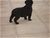 Cucciolo