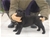 Cucciolo